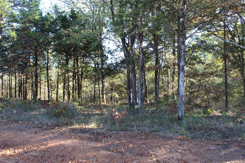 0 Cayote Springs Property Photo 13