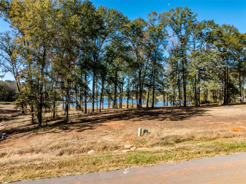 0 Carolina Drive Property Photo 4