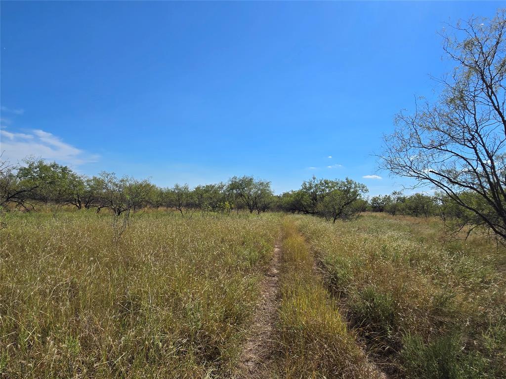 5780 County Road 266 Property Photo 6