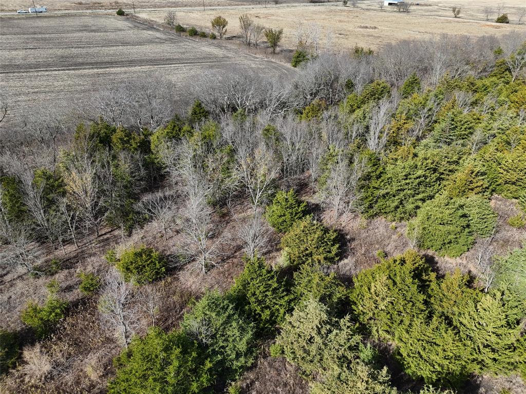 1300 Fm 2675 Property Photo 7