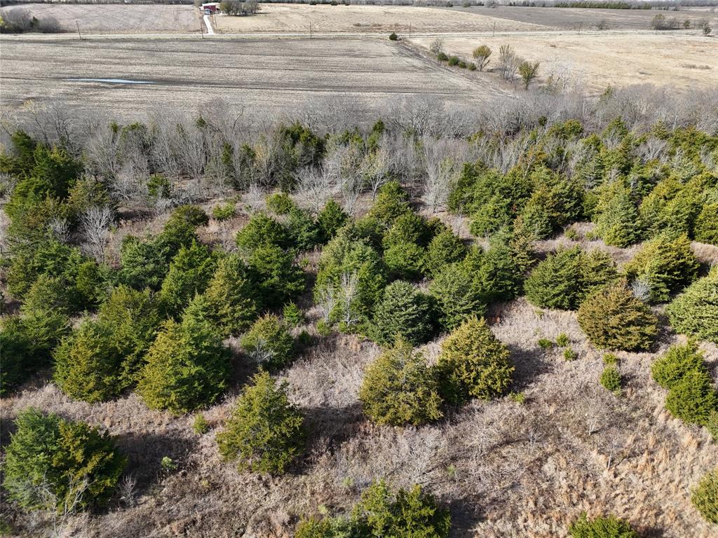 1300 Fm 2675 Property Photo 8