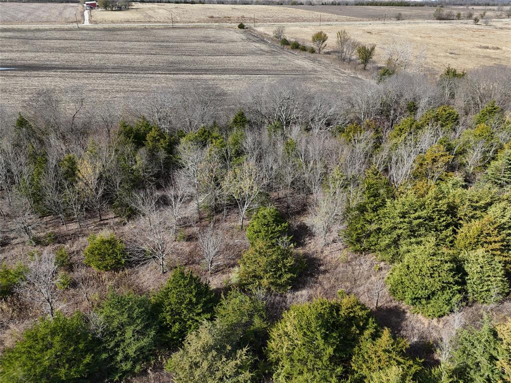 1300 Fm 2675 Property Photo 9