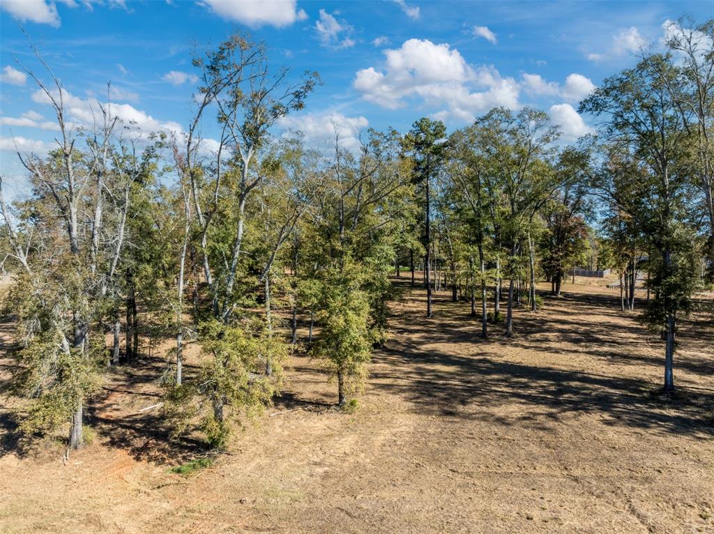 0 Carolina Drive Lot 12 Property Photo 4