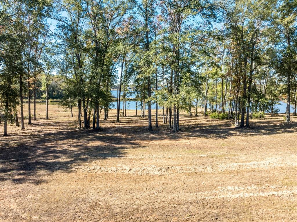 0 Carolina Drive Lot 12 Property Photo 5