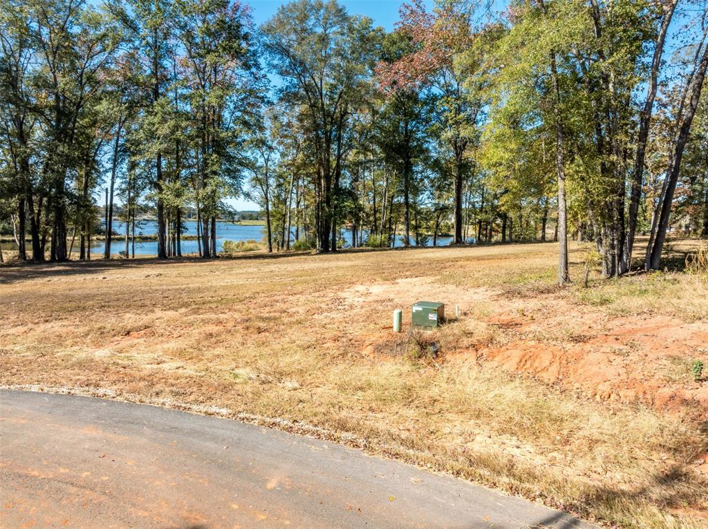 0 Carolina Drive Lot 12 Property Photo 6