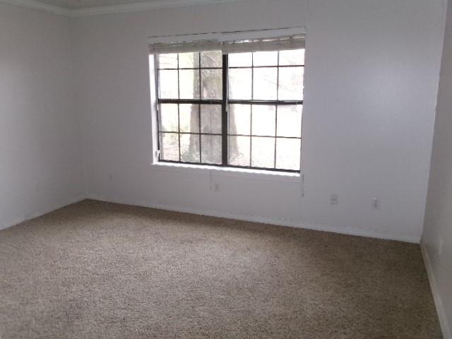10159 Miller Drive Property Photo 12