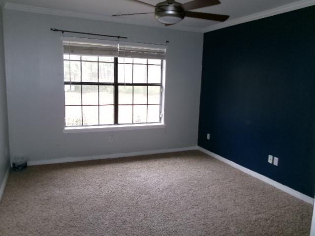 10159 Miller Drive Property Photo 13