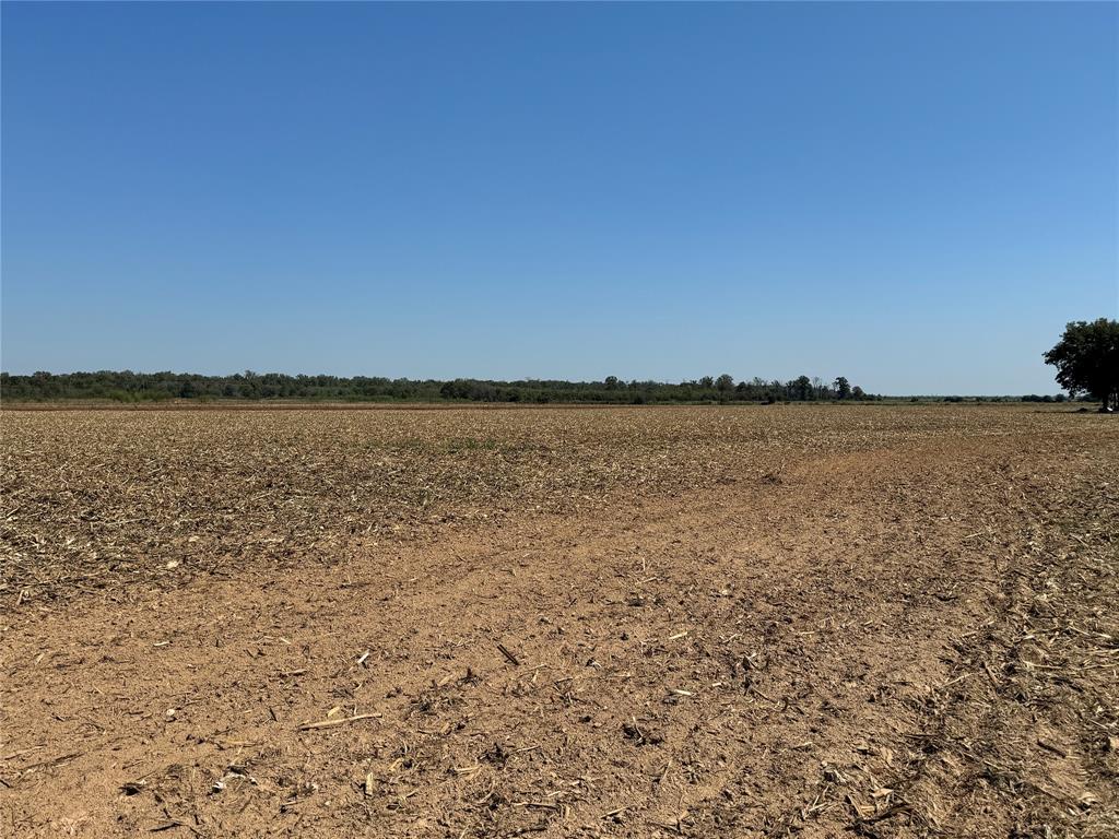 520 Flynn Bridge Cut Road Property Photo 12