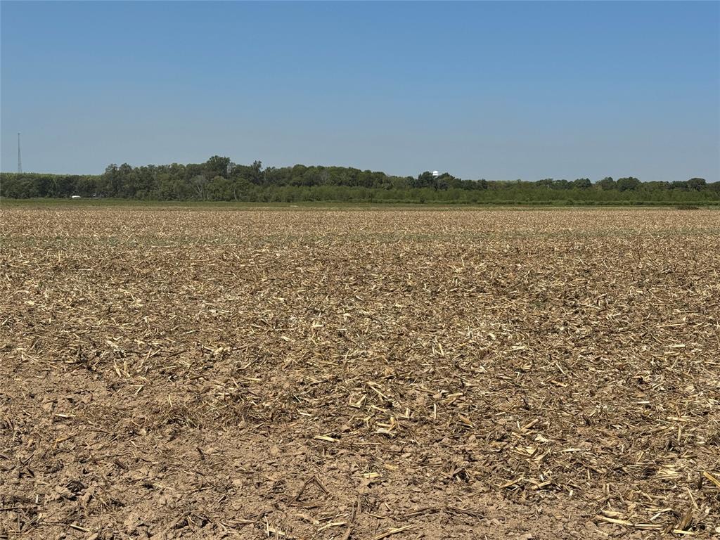 520 Flynn Bridge Cut Road Property Photo 13
