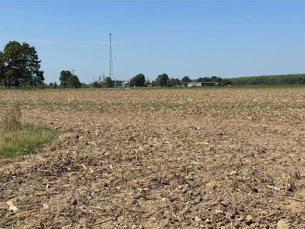 520 Flynn Bridge Cut Road Property Photo 15
