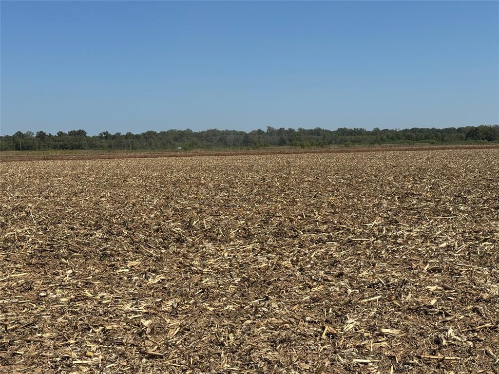 520 Flynn Bridge Cut Road Property Photo 16
