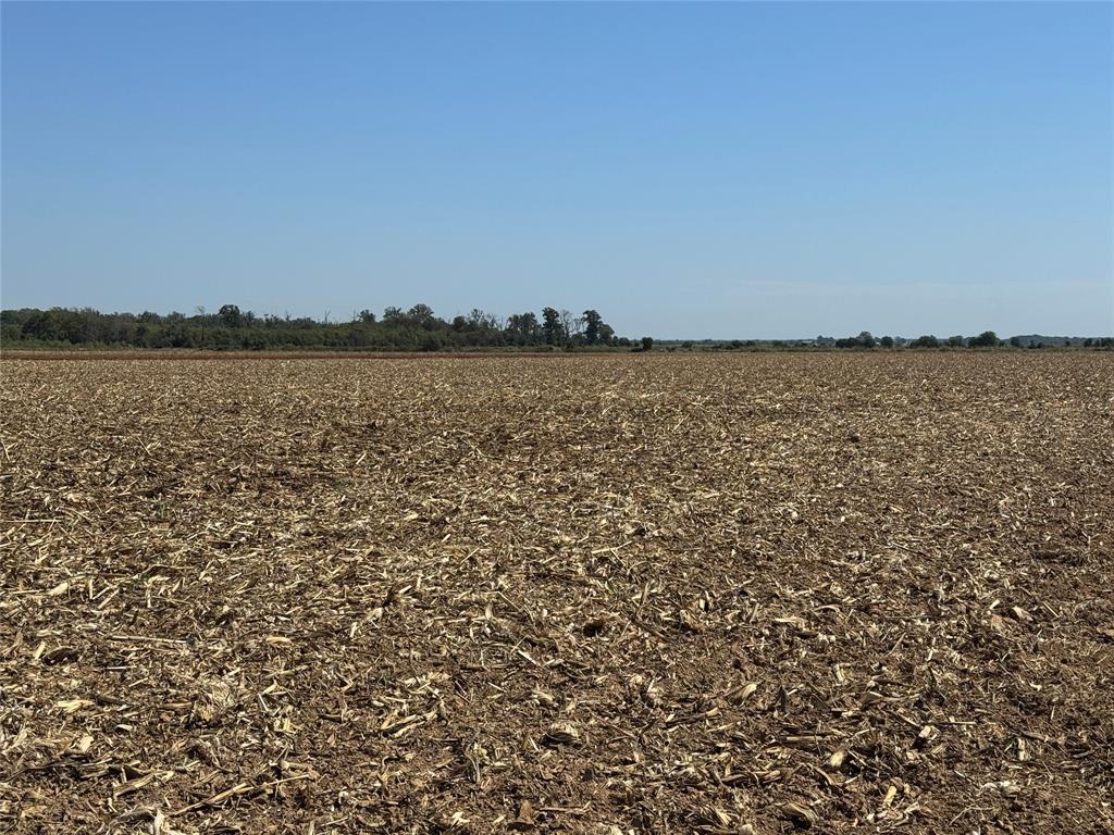 520 Flynn Bridge Cut Road Property Photo 17