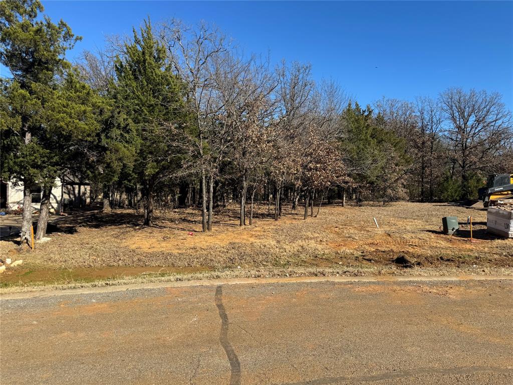 254 Roaring Fork Circle Property Photo 1