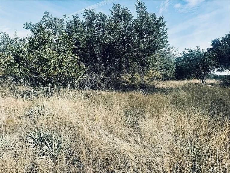 194 Willie B Drive Property Photo 1