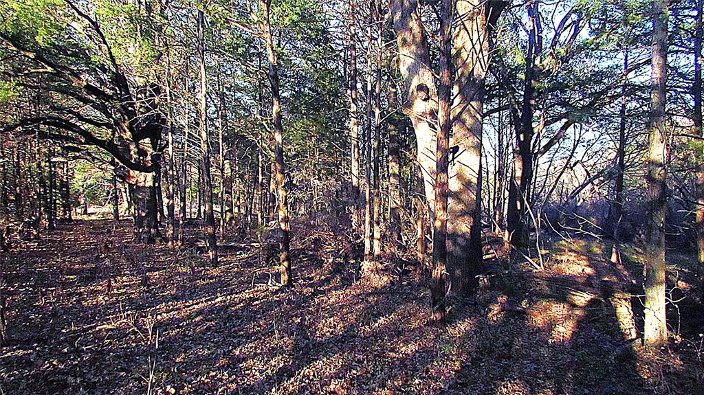 Tbd County Road 4736 Property Photo 7