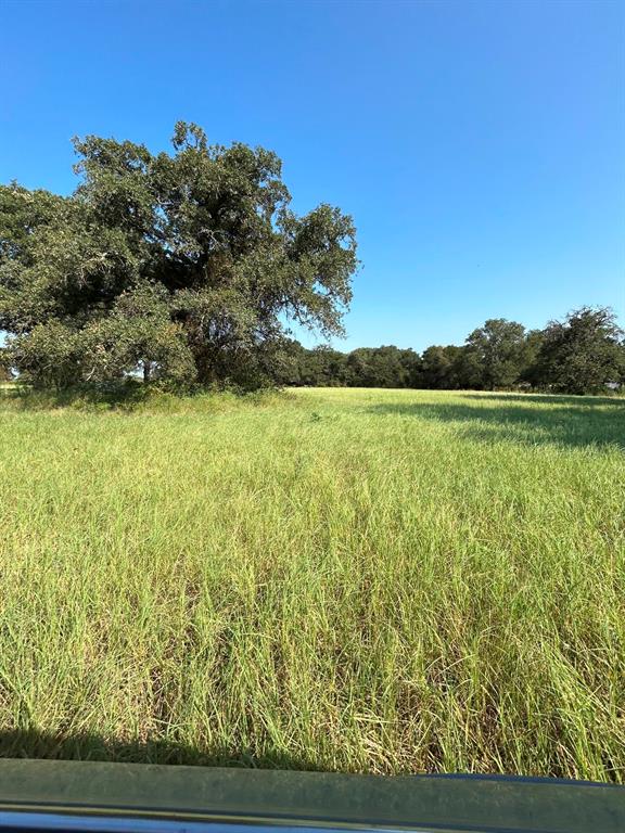 300 County Road 467 Tract 1 Property Photo 11