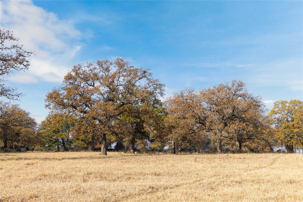 300 County Road 467 Tract 1 Property Photo 15