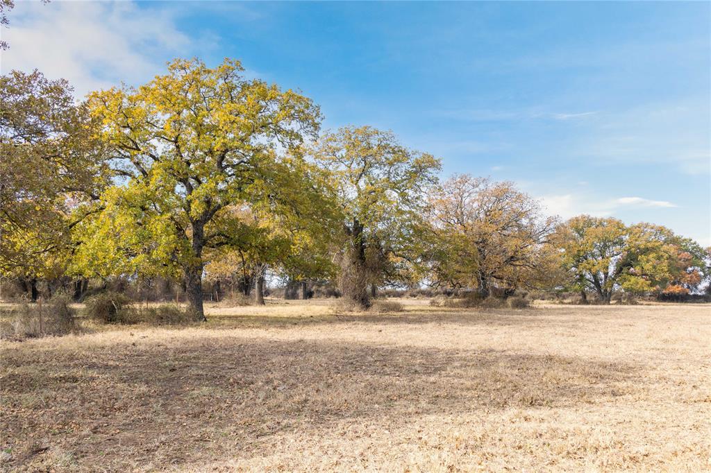 300 County Road 467 Tract 1 Property Photo 17