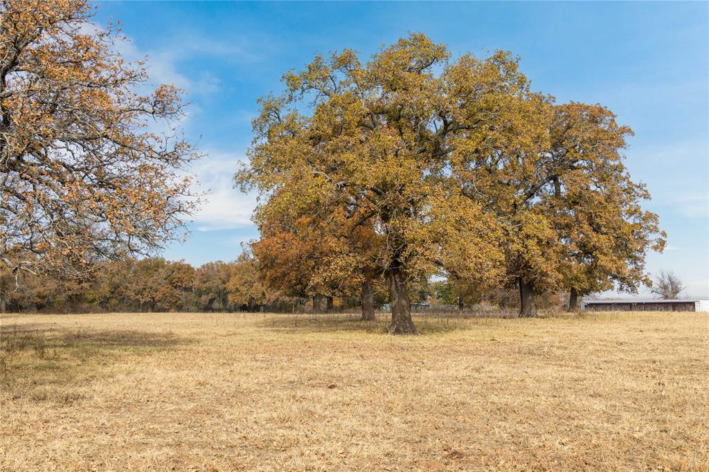 300 County Road 467 Tract 1 Property Photo 19
