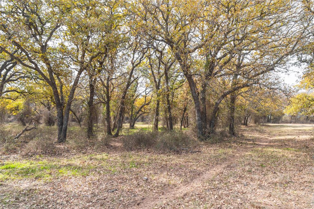 300 County Road 467 Tract 1 Property Photo 21