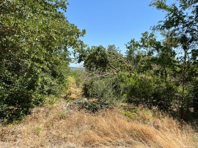 952 Lake Road Property Photo 19