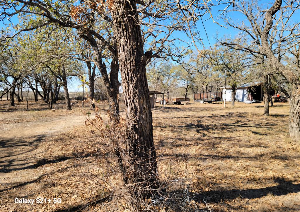 509 County Road 143 Property Photo 17