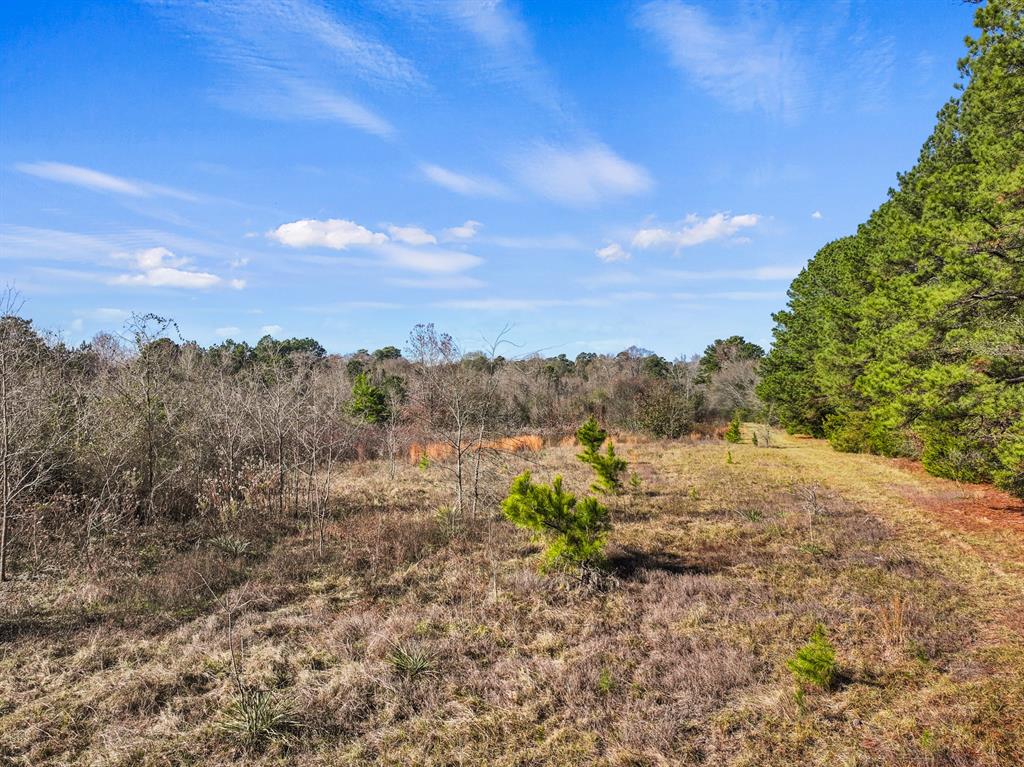 Tbd County Road 2865 Property Photo 11