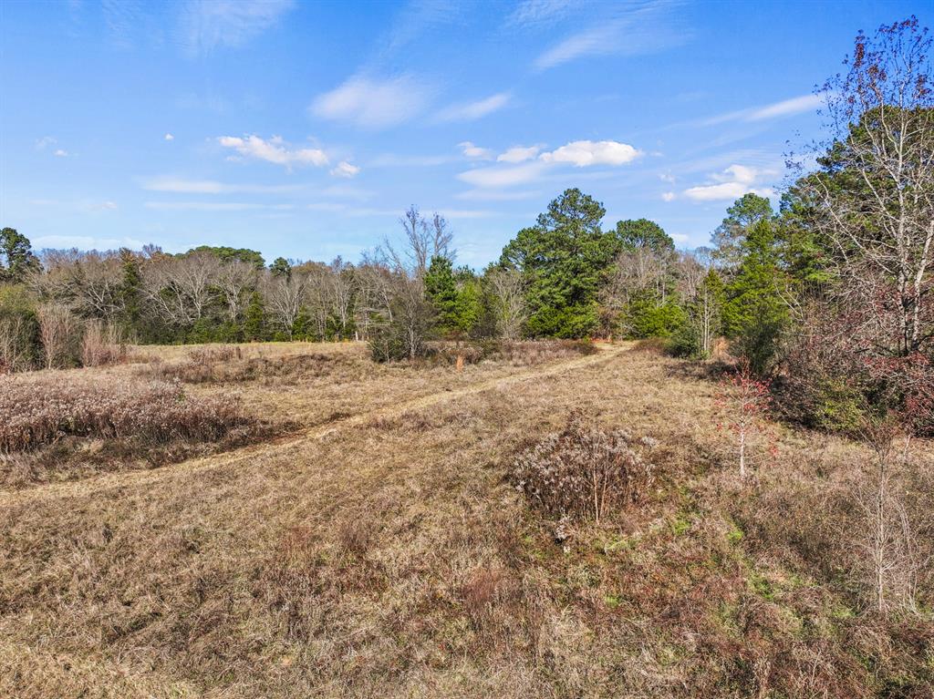 Tbd County Road 2865 Property Photo 12