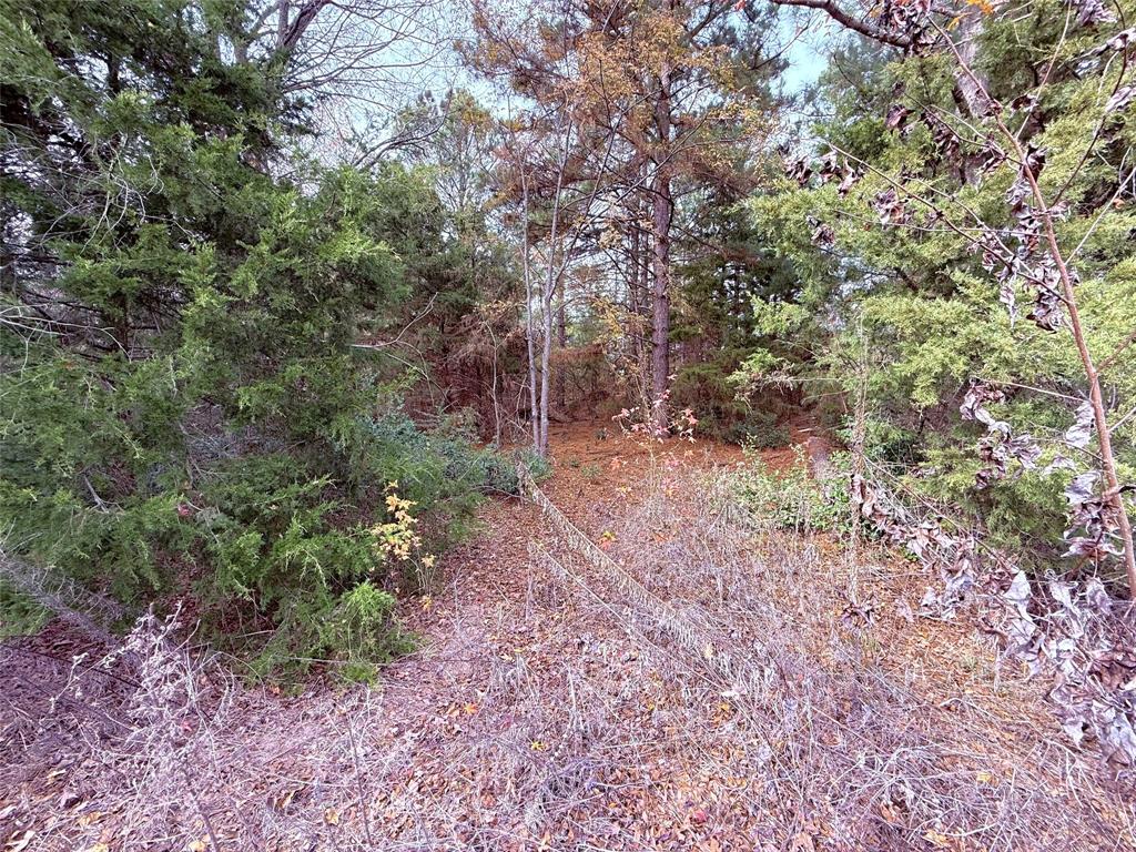 000 Hwy 37 Property Photo 4