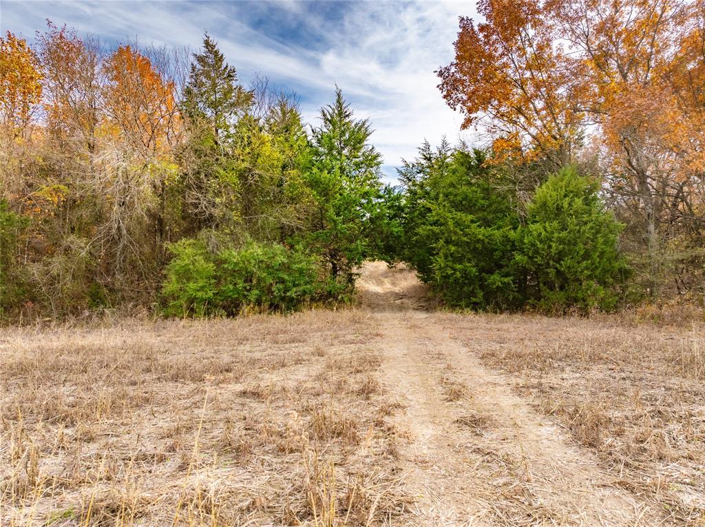 000 Fm 660 Property Photo 28