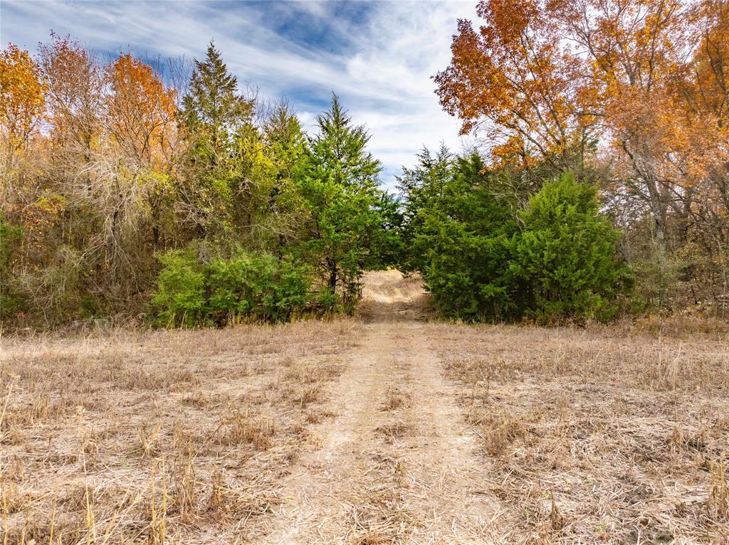 000 Fm 660 Property Photo 29