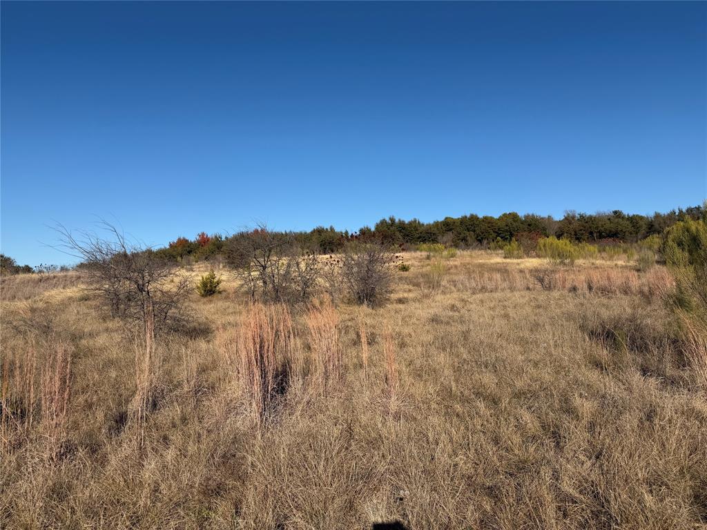2365 Canyon Wren Loop Property Photo 1
