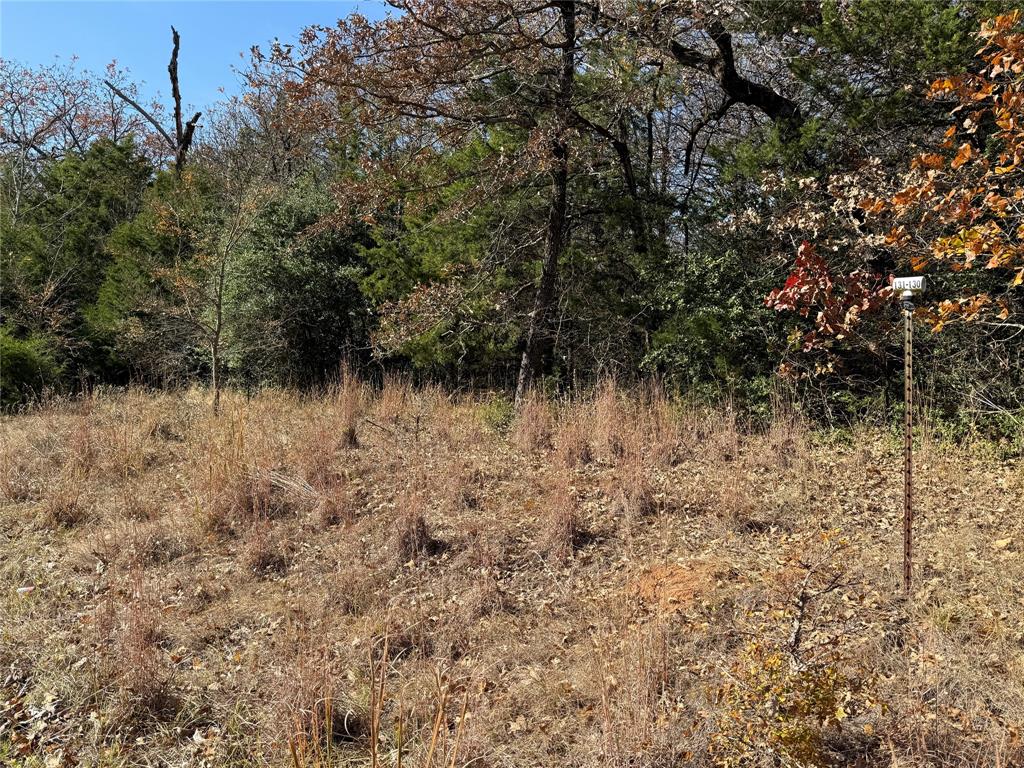 131 Lincoln Drive Property Photo 12
