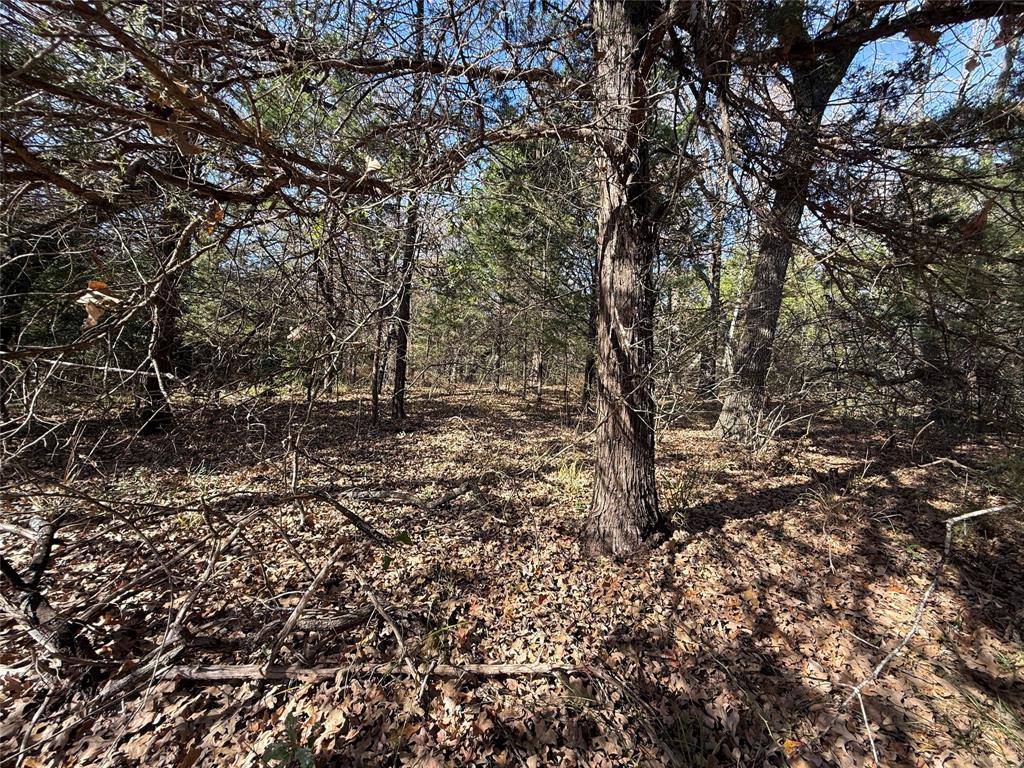 131 Lincoln Drive Property Photo 13