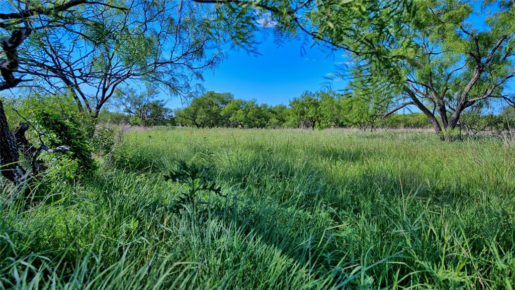 0000 Carpenter Road Property Photo 13