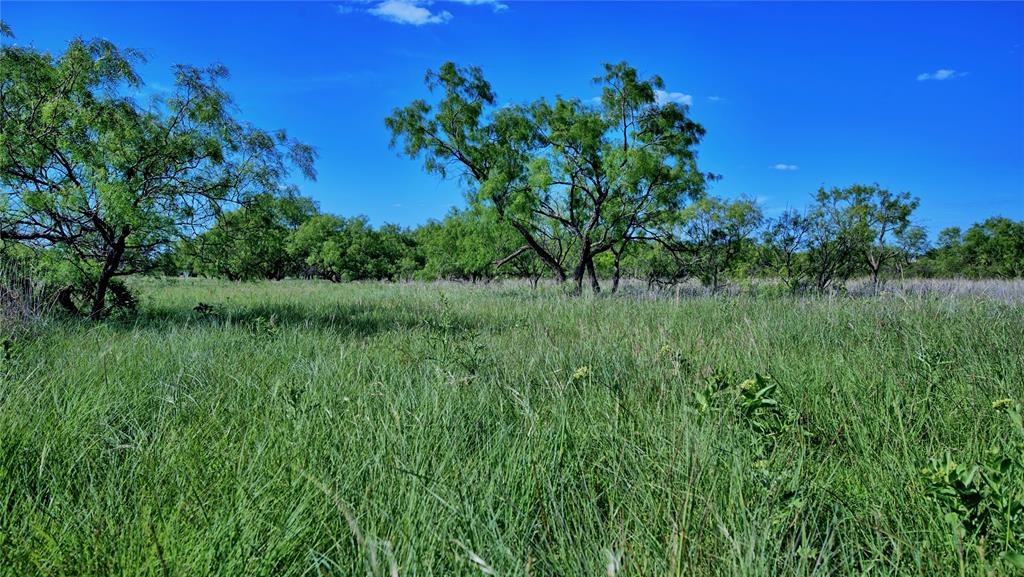 0000 Carpenter Road Property Photo 16