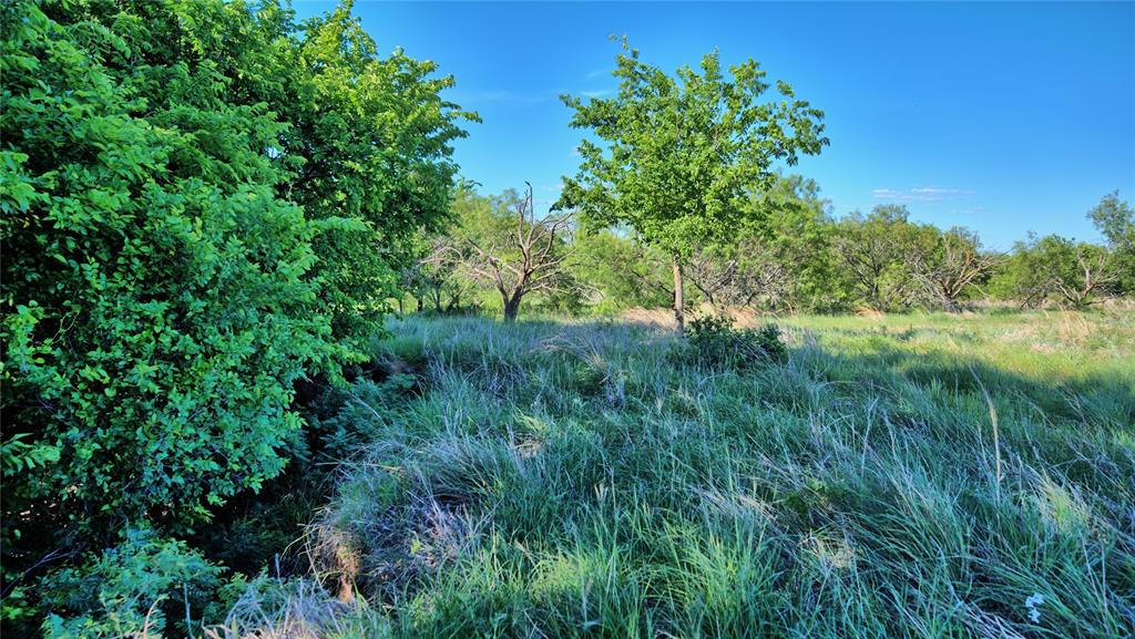0000 Carpenter Property Photo 20