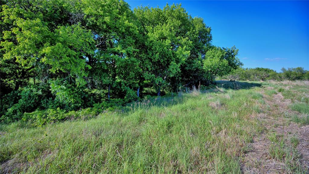 0000 Carpenter Property Photo 21