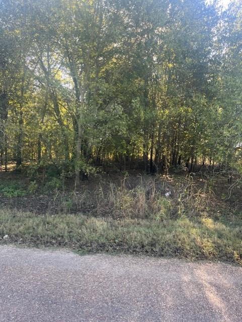 23 County Rd 316c Property Photo 1