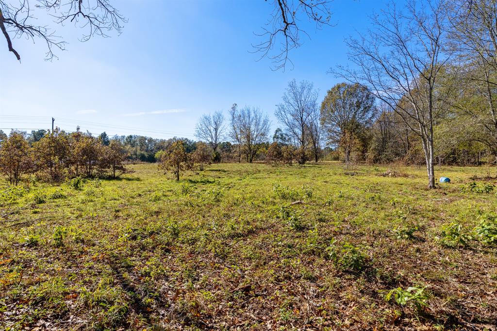 24142 Interstate 20 Property Photo 5