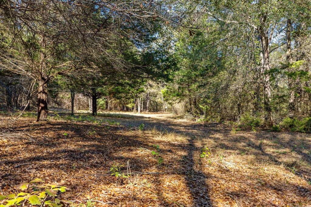 24142 Interstate 20 Property Photo 6