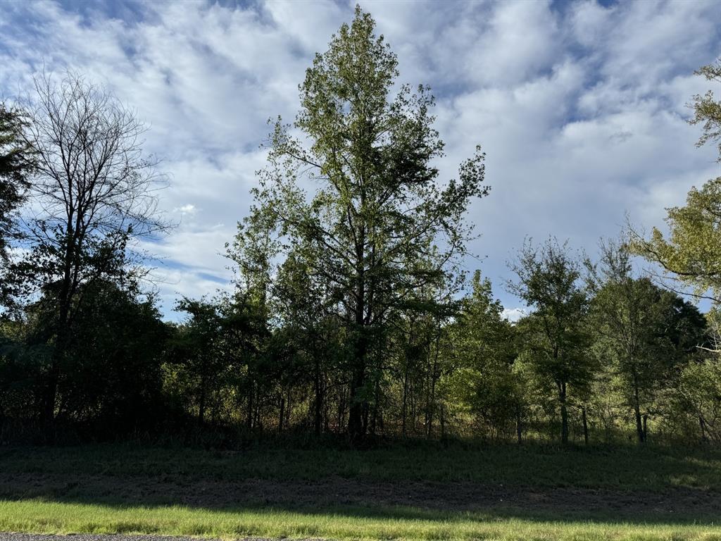 Tbd Fm 195 Property Photo 1