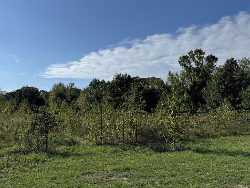 Tbd Fm 195 Property Photo 4