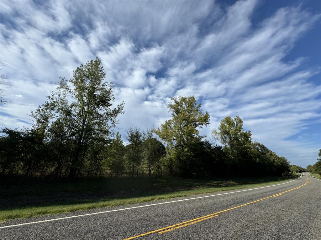Tbd Fm 195 Property Photo 5