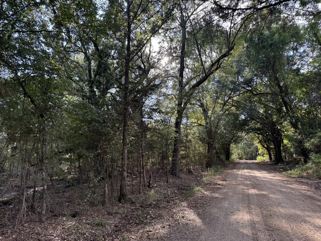 Tbd Fm 195 Property Photo 7