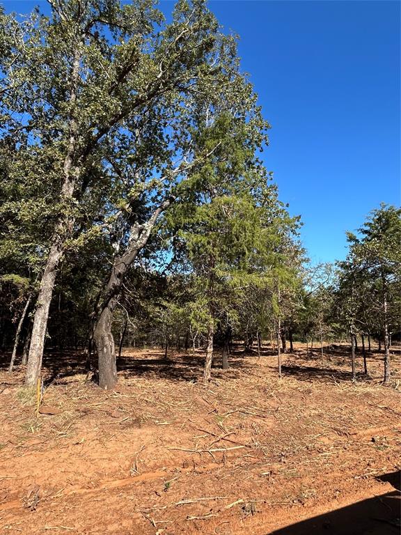 Tbd Annahill Property Photo 24