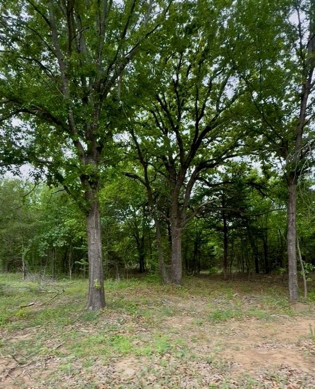 Lot 4 Slate Rock Road Property Photo 6