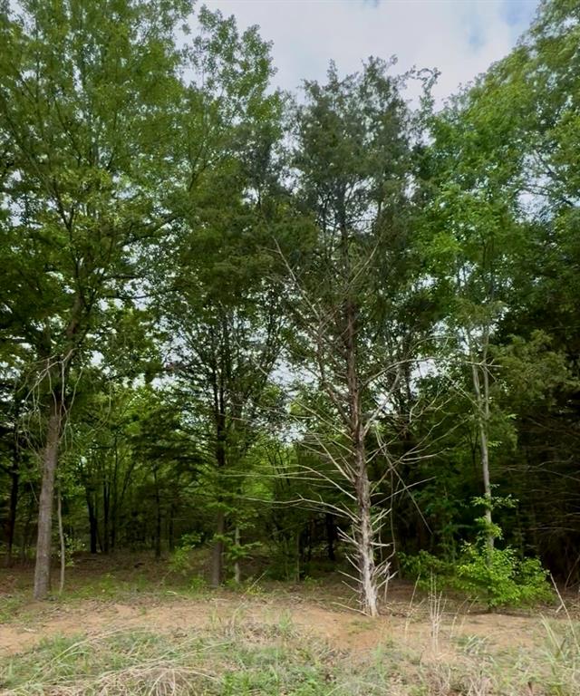 Lot 4 Slate Rock Road Property Photo 7