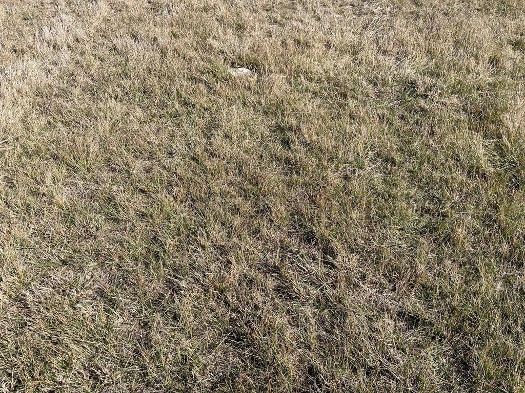 Tbd 2 Miller Rd Property Photo 6
