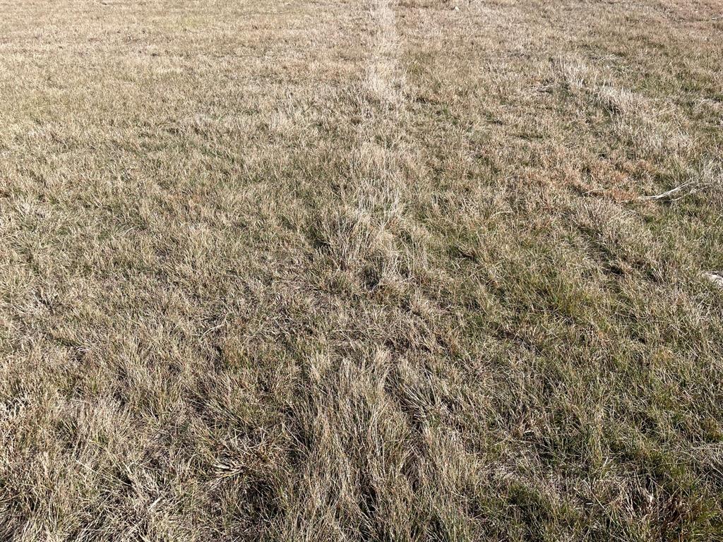 Tbd 2 Miller Rd Property Photo 7